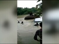 India: Mașină blocată în mijlocul unui râu, scoasă la mal cu ajutorul unui elefant