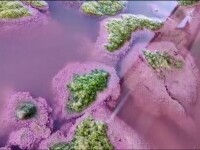 Fenomen spectaculos la Techirghiol. Ce efect are pentru oameni apa colorată în roz a lacului