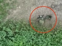 VIDEO viral. Un soldat rus care își făcea nevoile este atacat cu o grenadă de o dronă