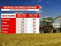Seceta cauzată de temperaturile neobișnuit de mari va reduce recolta în România. Mai puține cereale produse în toată Europa