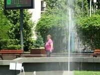 România fierbe în caniculă. Oamenii se descurcă cum pot, animalele de la zoo au parte de îngrijiri speciale