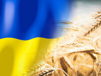 Comisia Europeană a prelungit restricţiile asupra importurilor de cereale ucrainene pentru 5 ţări, printre care și România