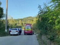 Un urs „cât o vacă” a atacat un bărbat din Argeș care mergea la serviciu. Atacul a avut loc pe un drum circulat