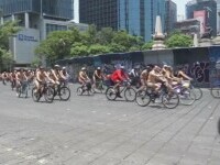 protest biciclete
