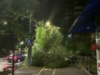 Aproape 400 de intervenții ale pompierilor în București, după furtună. 60 de copaci au căzut, 71 de mașini avariate