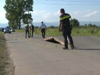 Valul de caniculă provoacă tragedii. Un bărbat a murit pe bloc, un drum deformat a provocat un accident în Gorj