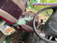 Cum s-a produs accidentul grav din județul Sibiu, între un TIR și un autocar. Trei persoane sunt grav rănite. FOTO&VIDEO