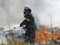 incendiu vegetatie grecia