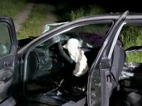 accident bistrita