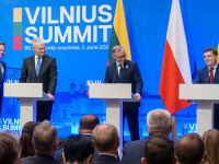 nicusor dan vilnius
