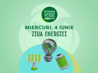 pro verde 2-8 iunie