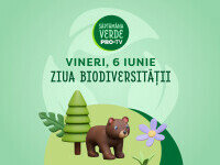 pro verde 2-8 iunie