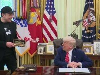 elon musk donald trump