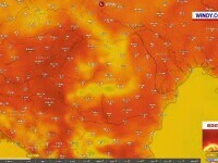 Fenomenul apărut în România odată cu primul val de căldură. Medicii se așteaptă la un număr mare de pacienți