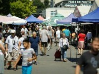 Ce spun specialiștii despre recomandările FMI pentru reducerea deficitului României. Ar afecta veniturile tuturor