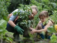 Când școala prinde rădăcini: cum învață copiii din România despre mediu cu mâinile în pământ