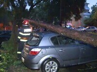 Târgu Mureș, lovit de o furtună violentă după caniculă. Copaci doborâți și zeci de apeluri la 112