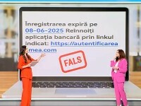 ibani
