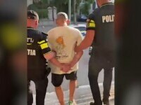 bataus craiova