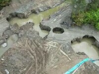 praid, parau