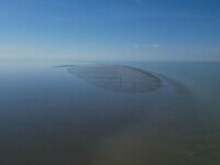 insula marea caspica