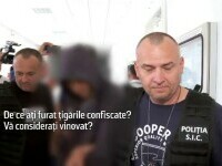 politisti