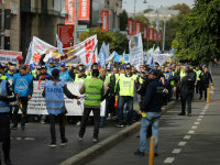 „Cartel Alfa” protest