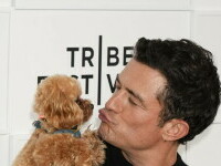 Orlando Bloom
