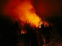 Incendiile de pădure devastează Canada. 3,5 milioane de hectare au fost deja mistuite de flăcări. GALERIE FOTO & VIDEO