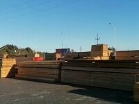 Evaziune fiscală cu lemn, la Suceava. Care e prejudiciul adus statului în patru ani