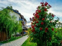 (P) De ce turiștii străini iubesc Delta Dunării și noi abia o descoperim