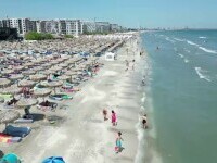 vacante rezervari