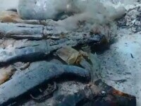 Un adevărat arsenal a fost găsit pe fundul mării, în sudul Italiei. Poliția a luat imediat obiectele în custodie