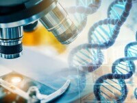 Sindromul teribil aproape să fie eradicat printr-un proces complex de „editare” a genelor. Japonezii au găsit soluția