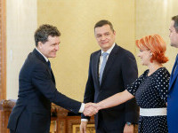 nicusor dan lia olguta vasilescu