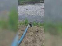 Poluare la Breaza. Ce amendă a primit societatea de apă și canalizare pentru deversări în râul Prahova