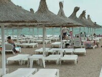 Turiștii au fugit de pe plajele din Constanța din cauza vremii și s-au distrat la Delfinariu: „Absolut formidabil”