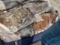 Trei bărbaţi au introdus în România zeci de kilograme de canabis printr-o firmă de curierat. Cum ascundeau mirosul de droguri