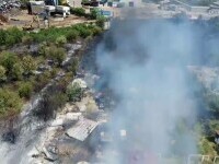 Incendii de vegetație scăpate de sub control în sud-vestul țării. Hectare întregi au fost cuprinse de flăcări