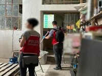 Escobar de Brașov. Cel mai mare laborator de droguri din România, descoperit într-un depozit | FOTO & VIDEO