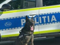 politie