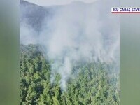 Incendiu de amploare pe dealurile din Caraș-Severin: Pompierii luptă să salveze casele din apropiere