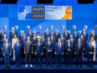 nicusor dan summit nato haga