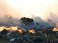 incendiu chios