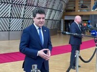 nicusor dan bruxelles