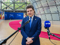 nicusor dan la consiliul european