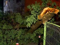 Vijeliile au lovit România. Copaci rupți, mașini avariate și zboruri întârziate din cauza furtunilor violente