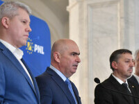 bolojan predoiu