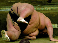 Sumo