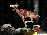 Cadavre de animale conservate expuse la o gradina zoologica din Germania